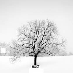 Hotel Wrecking City Traders : Loose Alcoholic